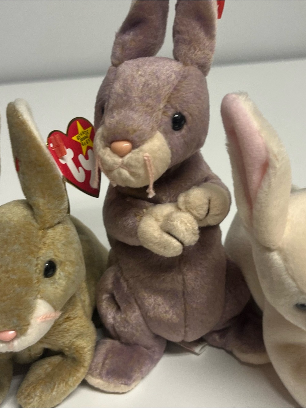 TY -Bunnies- Nibler, Nibbley , Springey